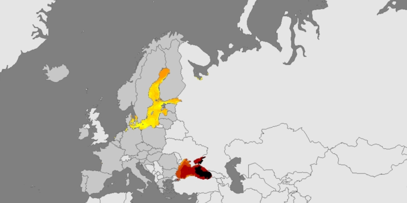 Как плавать в море летом и не умереть от опасной бактерии рода Vibrio: объясняет врач
