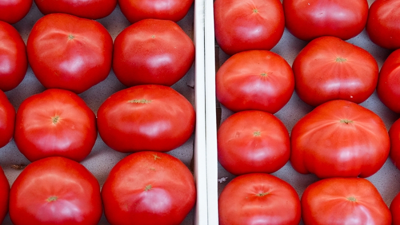 Эксперт назвала ключевые растительные продукты для мужского здоровья