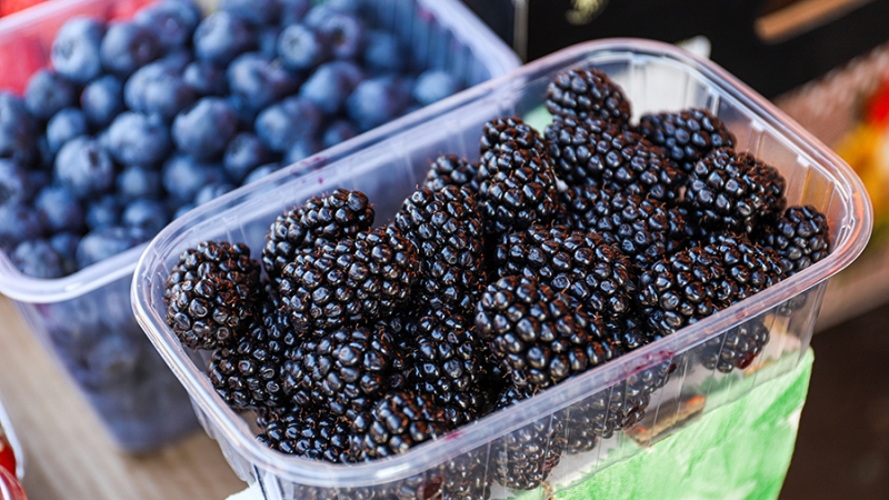 Диетолог назвала продукты для профилактики онкологии и сахарного диабета