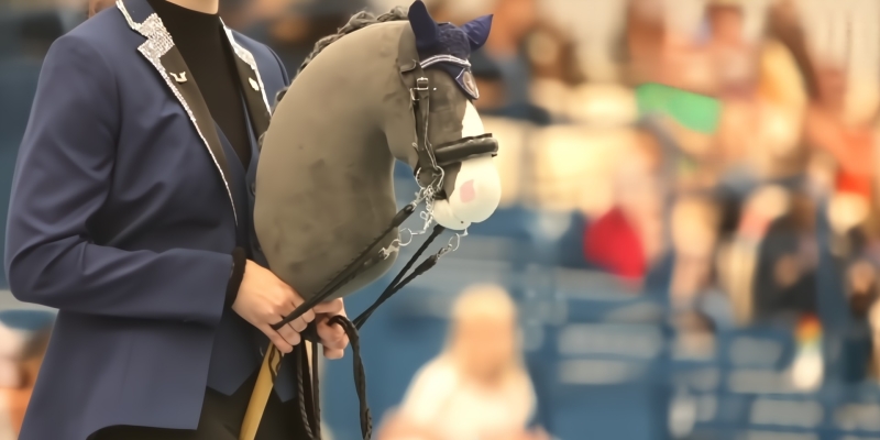 Хоббихорсинг: странное увлечение или серьёзный спорт?