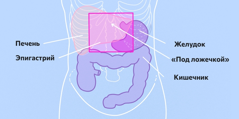 Что значит &laquo;сосёт под ложечкой&raquo; и опасно ли это: разбираемся с гастроэнтерологом Татьяной Андрюковой