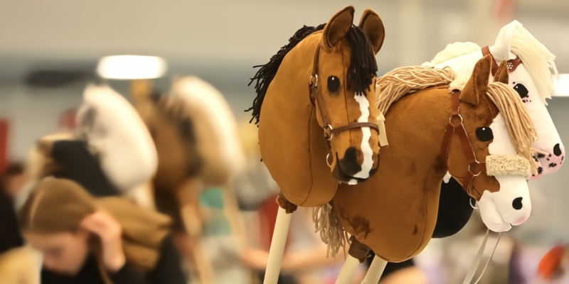 Хоббихорсинг: странное увлечение или серьёзный спорт?