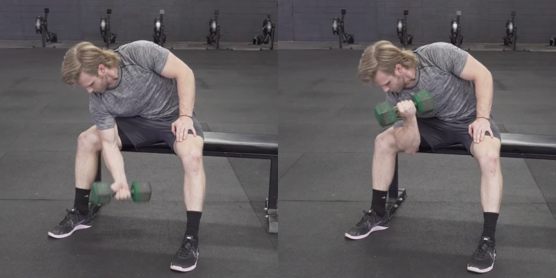 35 упражнений с гантелями для тех, кто хочет прокачать всё тело