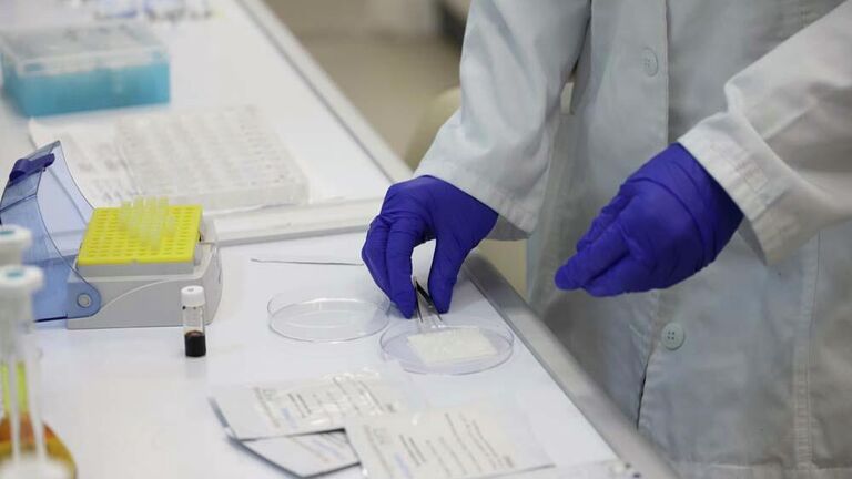 Ученые придумали, как заживлять раны с помощью кожи кролика