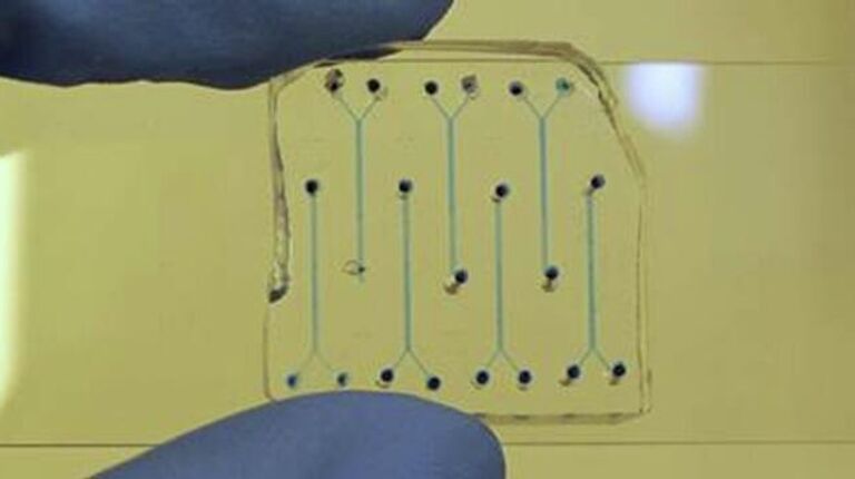 В Петербурге создали прибор для диагностики рака и быстрого старения