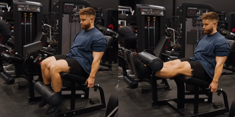 20 лучших упражнений на ноги для зала и дома