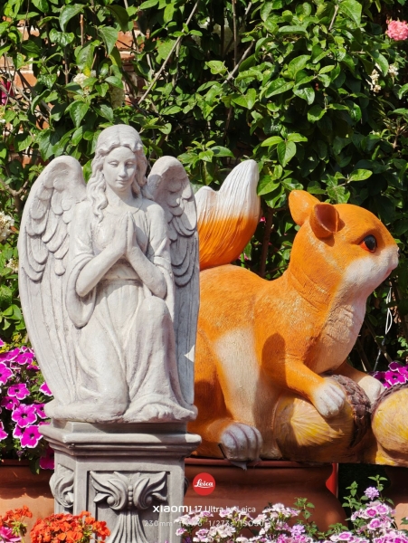 Битва камерофонов: инсайдер сравнил фотовозможности Xiaomi 17 Ultra, Oppo Find X9 Ultra и Vivo X300&nbsp;Ultra