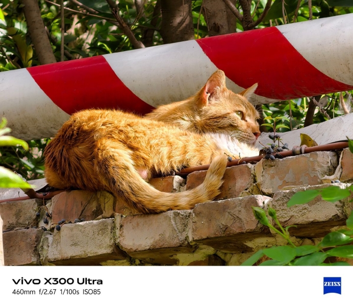 Битва камерофонов: инсайдер сравнил фотовозможности Xiaomi 17 Ultra, Oppo Find X9 Ultra и Vivo X300&nbsp;Ultra