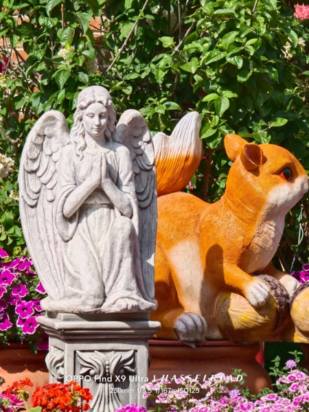 Битва камерофонов: инсайдер сравнил фотовозможности Xiaomi 17 Ultra, Oppo Find X9 Ultra и Vivo X300&nbsp;Ultra