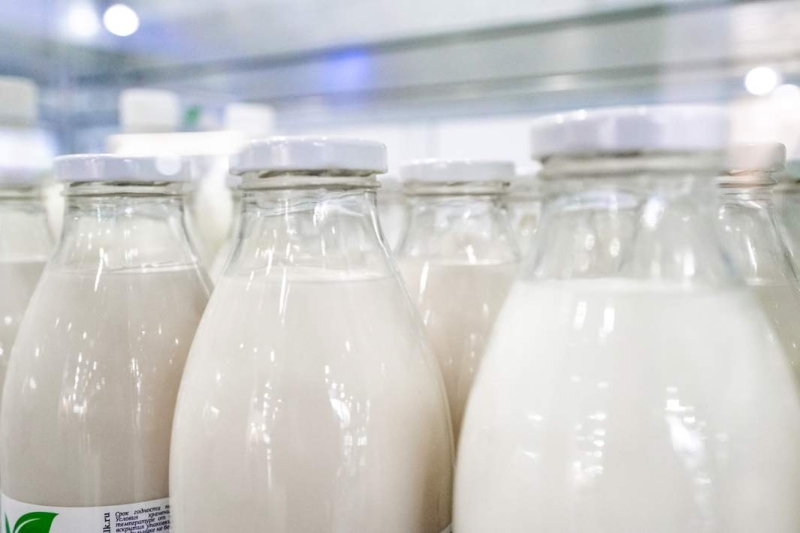 Еда на выброс: можно ли помешаться на правильном питании