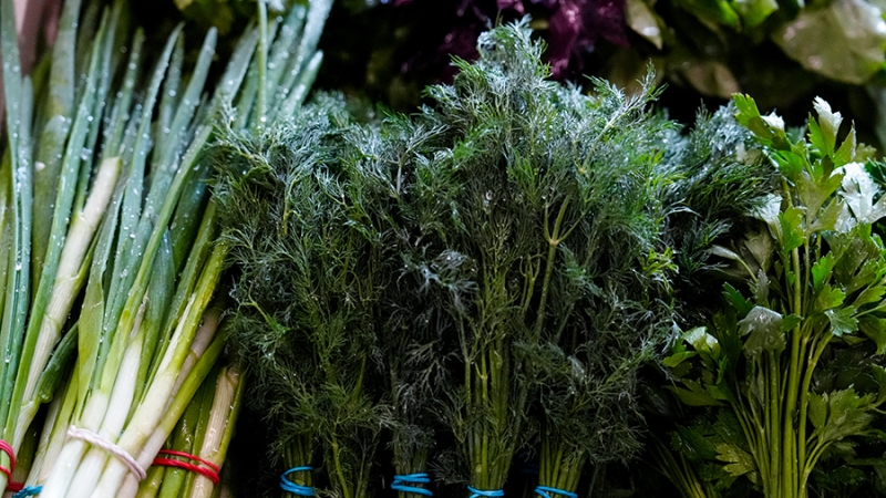 Нутрициолог рассказал об обязательных в весеннем рационе продуктах