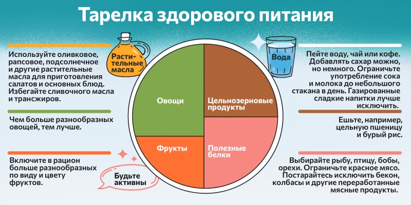 Зачем вам есть по принципу гарвардской тарелки здорового питания